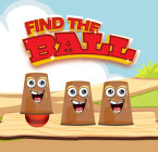 Find The Ball Game